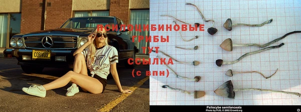гашиш Баксан