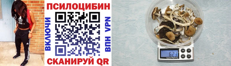 Галлюциногенные грибы мицелий  купить наркотик  гидра как войти  Бузулук 