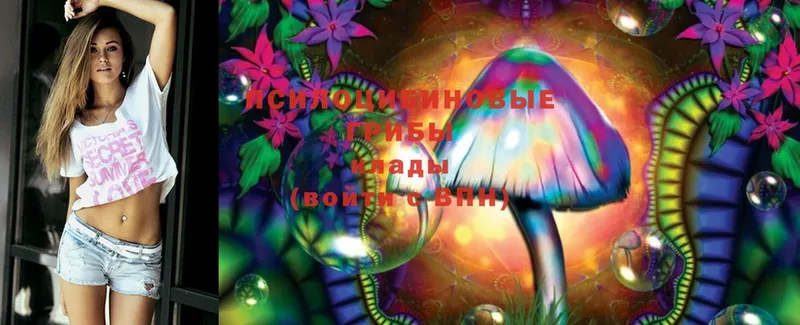 Псилоцибиновые грибы Magic Shrooms  Бузулук 