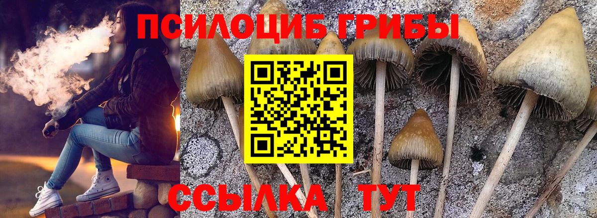 Псилоцибиновые грибы Psilocybe  Вход с VPN  Бузулук  Галлюциногенные грибы ЛСД 