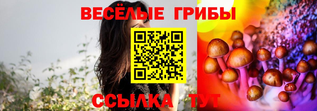Галлюциногенные грибы MAGIC MUSHROOMS Бузулук